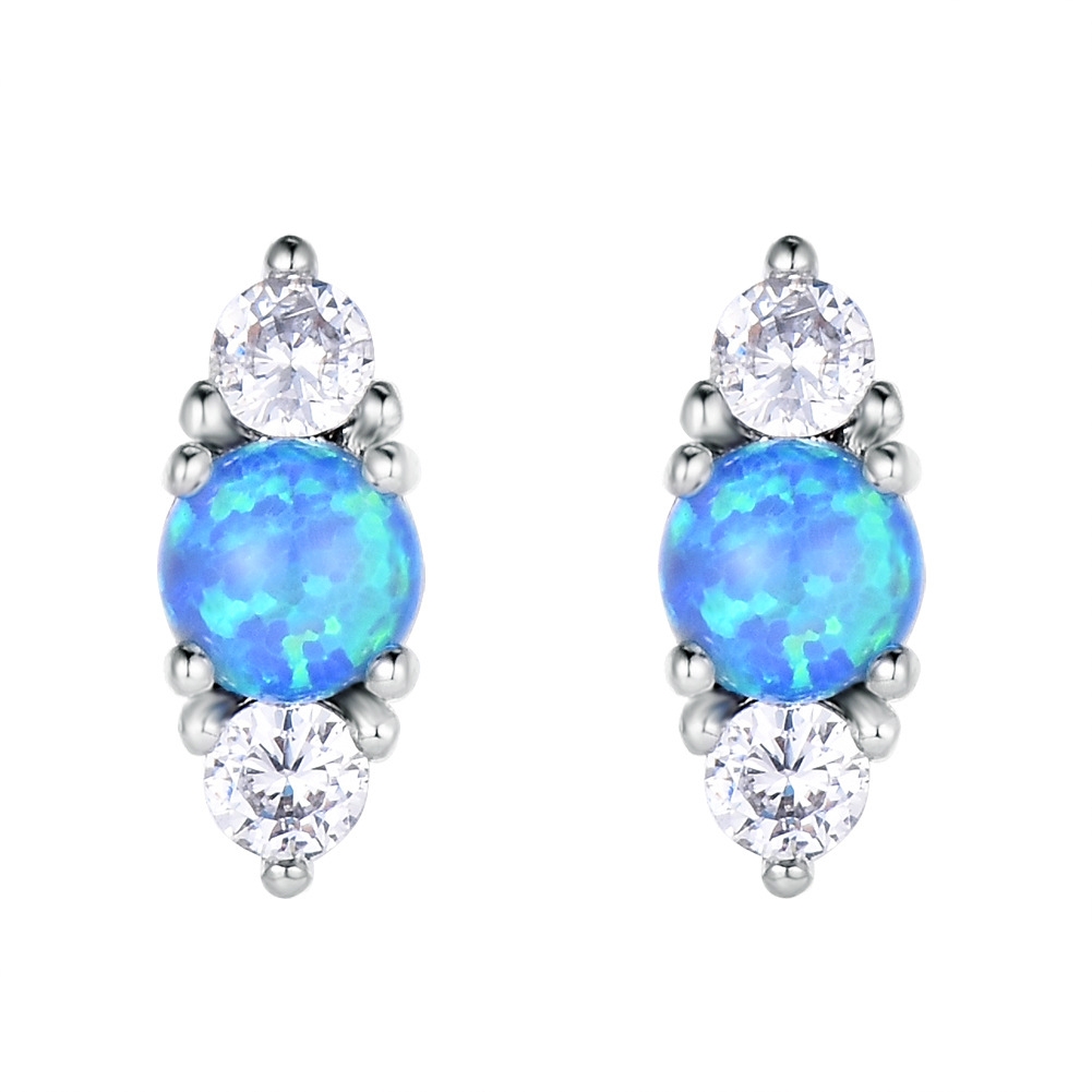 Earrings category